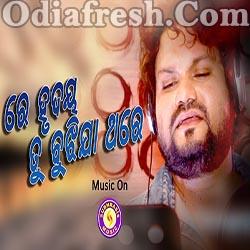Re Hruday Tu Bujhija Thare - Odia Sad Song (Humane Sagar)